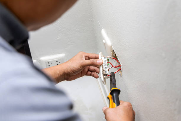 Best Electrical Repair Services  in Loch Lomond, VA